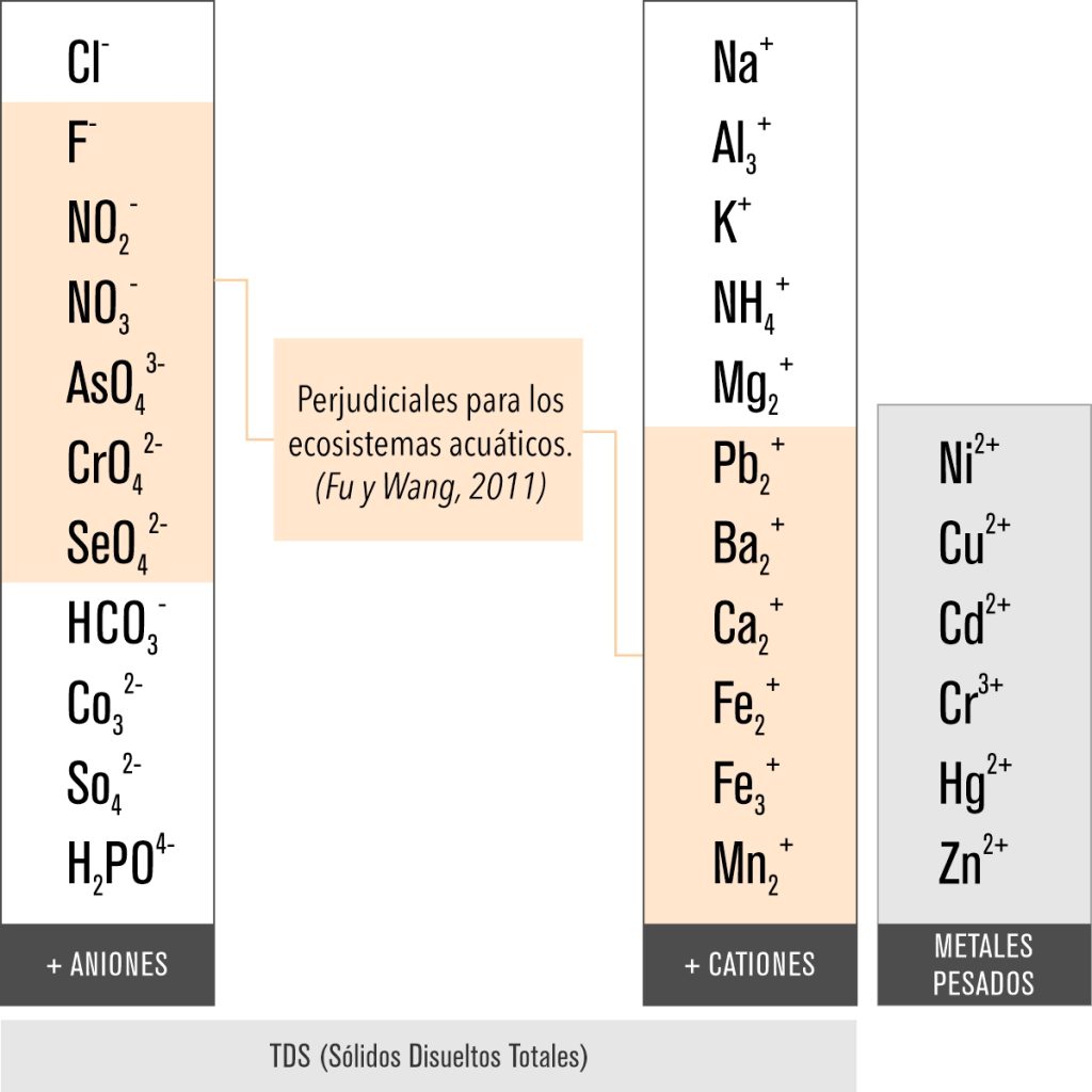 REMOCIÓN DE SOLIDOS DISUELTOS EN AGUA