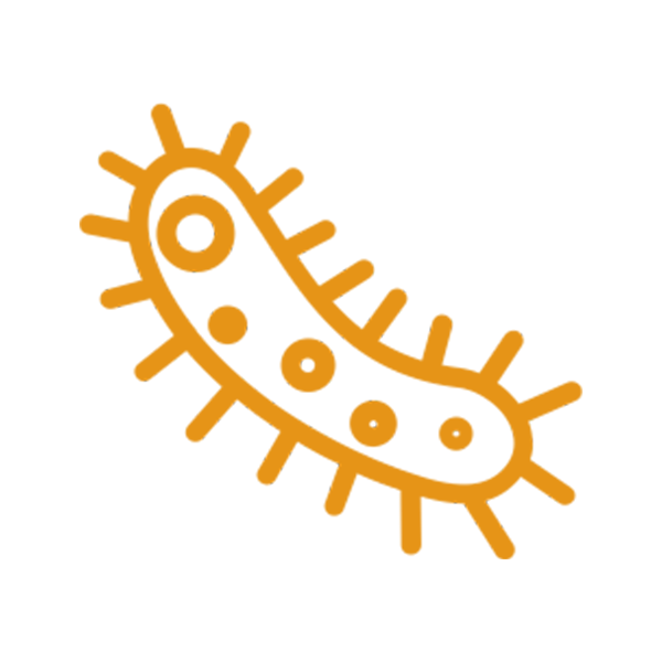 Antimicótico y micotoxinas